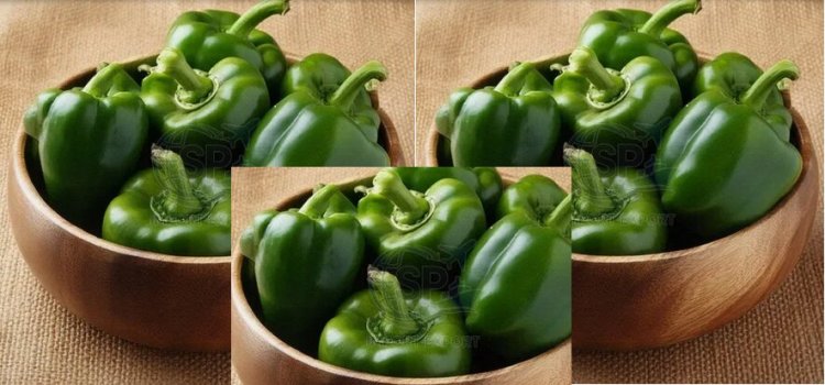 Fresh Green Capsicum Bulk Supply for B2B Buyers