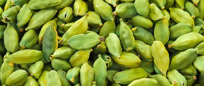 How trusted 8mm Cardamom Exporters help supply top-quality spices across the world