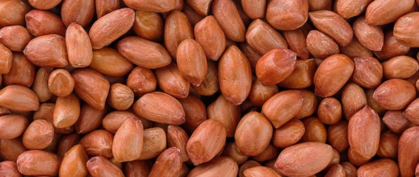 How to Verify the Quality of a Groundnut Seeds Supplier?