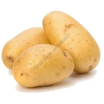 Fresh Brown Potato Supplier – Quality Potatoes for Wholesale Supply