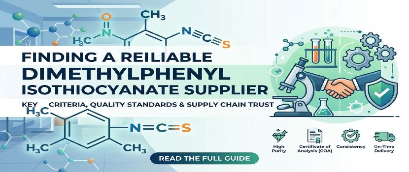 How to Choose a Reliable Dimethylphenyl Isothiocyanate Supplier