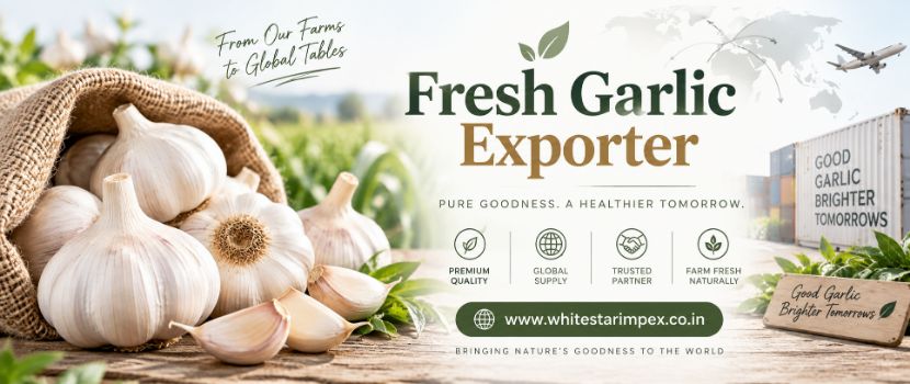 How to Choose a Reliable Fresh Garlic Exporter for Global Supply