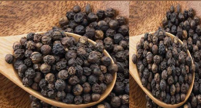 Reliable Black Pepper Seed Supplier in Tamil Nadu, India