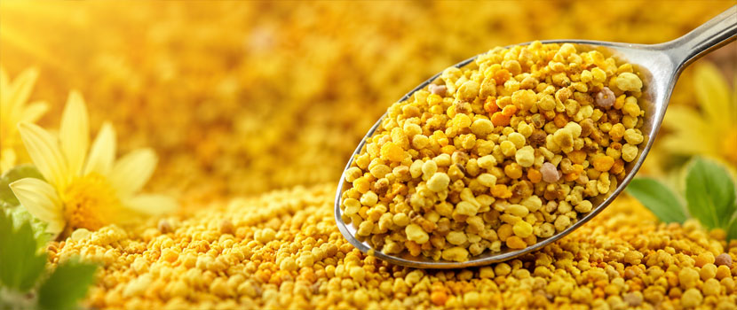 Bee Pollen Manufacturer, Exporter and Supplier in India