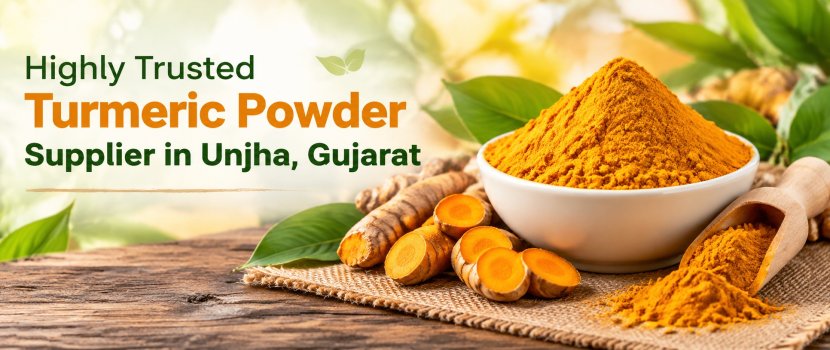 Turmeric Powder Supplier in Gujarat: Delivering Premium Quality Natural Turmeric Powder
