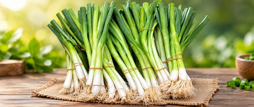 Fresh Spring Onions for Restaurants and Food Businesses: A Sourcing Guide