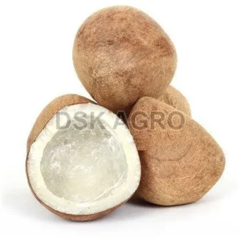 Dried Copra Coconut Supplier for Premium Quality Bulk Supply