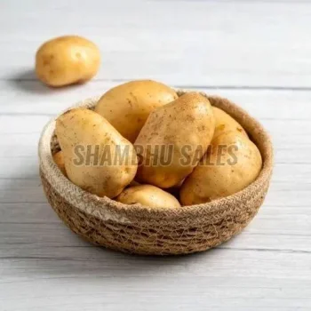 Fresh Raw Potato Exporter – Quality Potatoes for Global Supply
