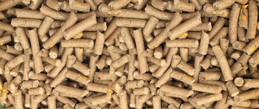 Understanding Dairy Cattle Feed Suppliers and Their Bulk Feed Specifications