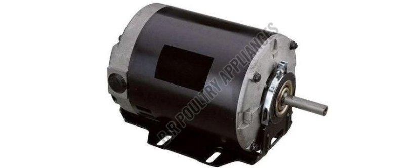 How Can an Incubator Fan Motor Manufacturer Support Reliable Incubation Performance?