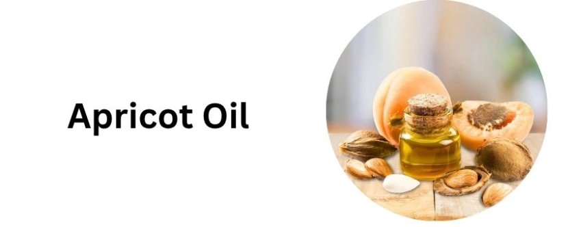 How Can an Apricot Kernel Oil Exporter Meet Diverse Buyer Requirements?