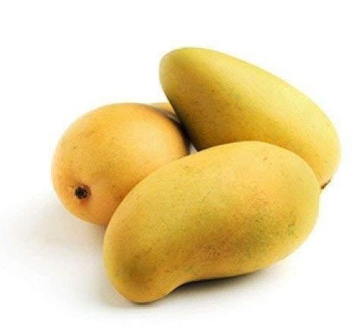 test post