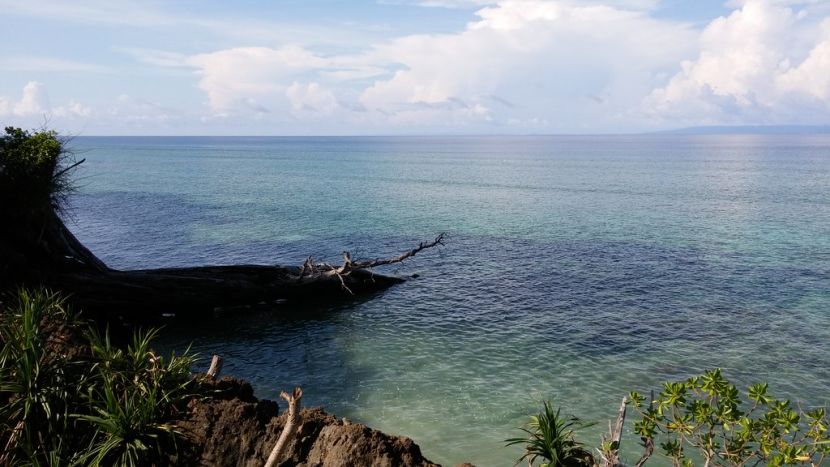 Neil Island – The Tourists’ Gem in Andaman & Nicobar