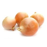 How to grow good onion yield from Yellow Onion Seeds in UP?