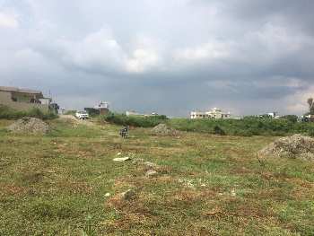 Things to Consider Before Buying Land in Jamunwala, Dehradun