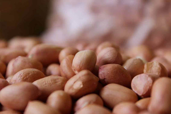Groundnut Kernels – Healthy and Strong for the Body