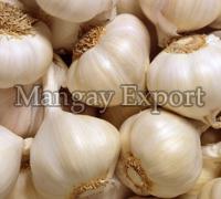 The Incredible Health Benefits of Fresh Garlic