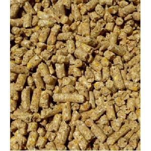 Feed Pellets for the Ultimate Nutrition to the Cattle and Poultry animals
